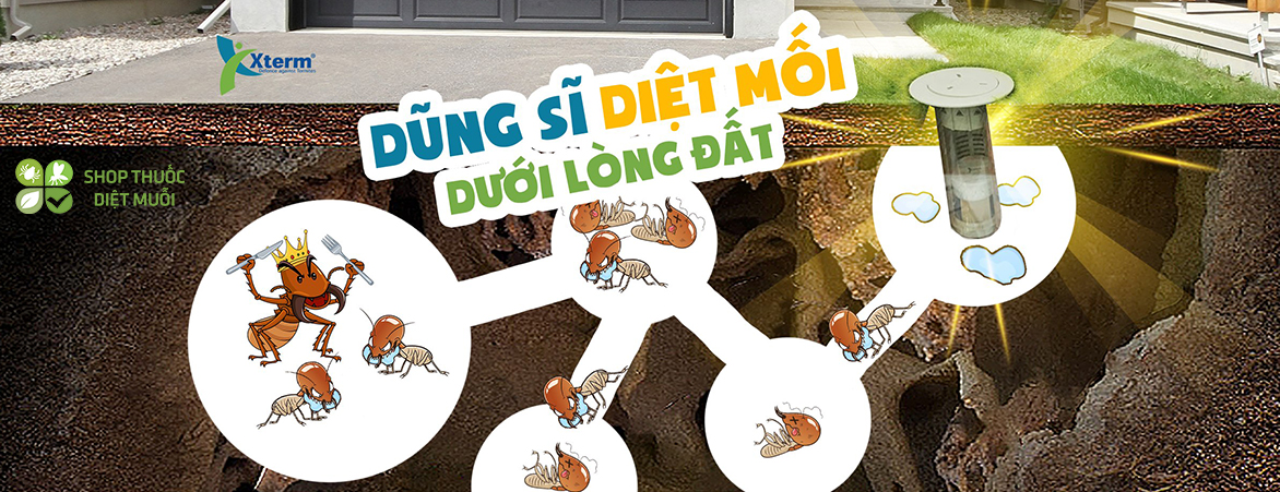 shop thuoc diet muoi 1 1